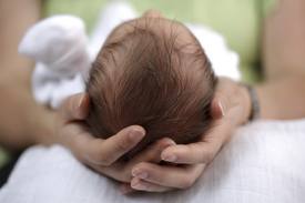Benefits Of The Mustard Seed Pillow For A Newborn Indusladies Com