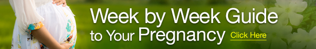Pregnancy-Guide-Banner