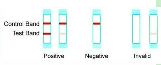 Pregnancy-Test-Kit-Accuracy