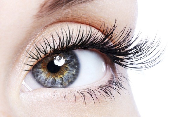 Beauty female eye with curl long false eyelashes - macro shot over white background