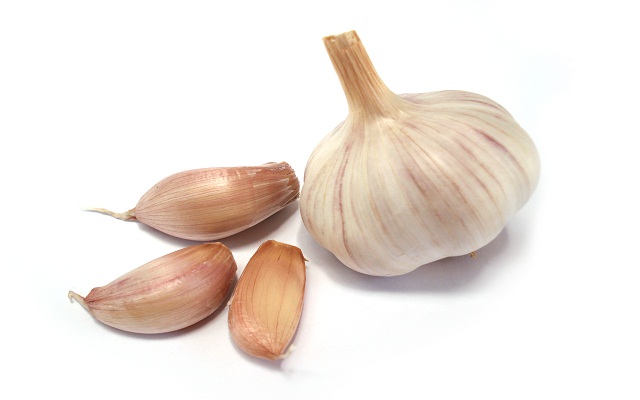 garlic